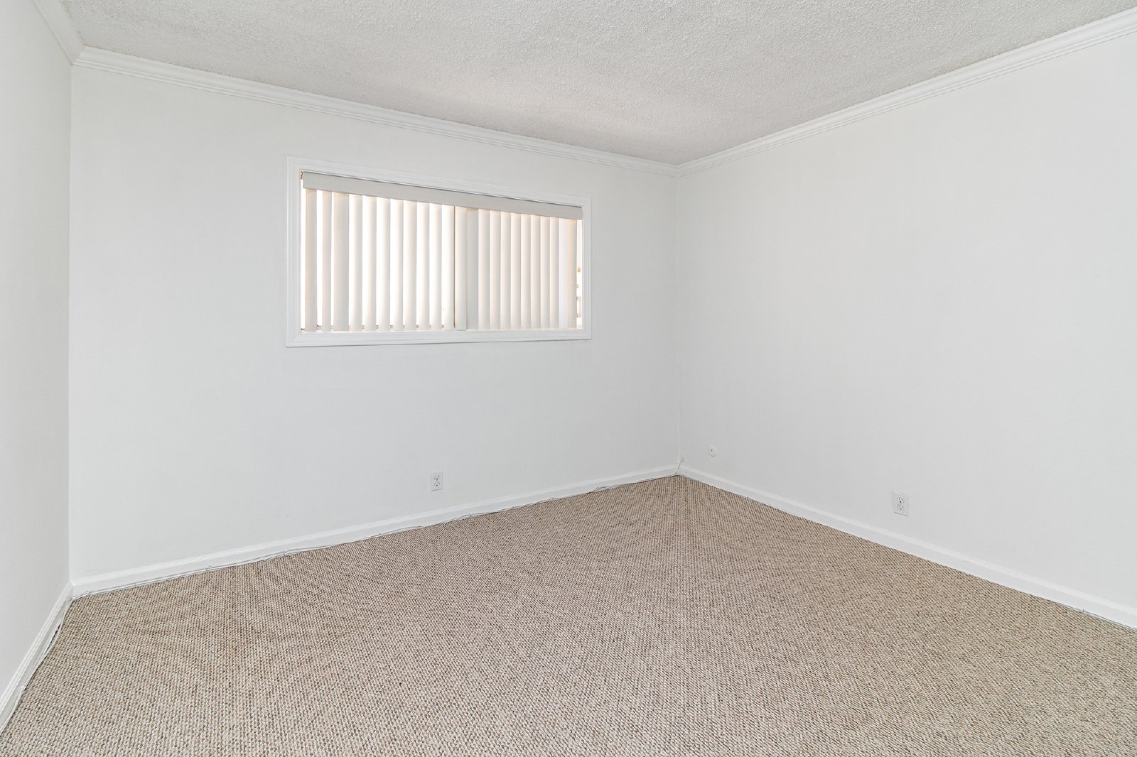 6199 Canterbury Dr #206 - #206 property image