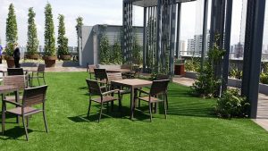 Image is a rooftop garden area.